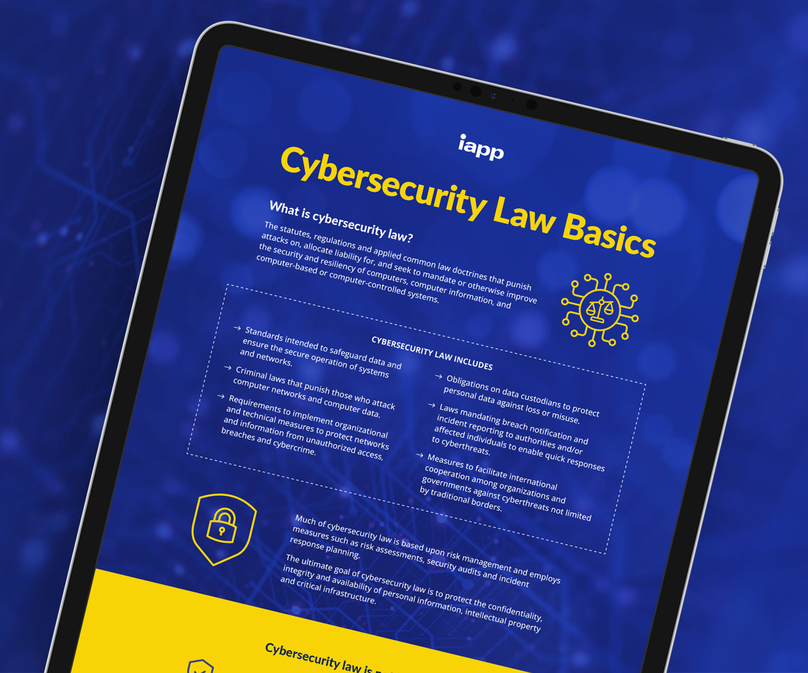 Cybersecurity Law Basics